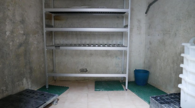 Local Comercial En Pleno Centro Con Cámara de Frío