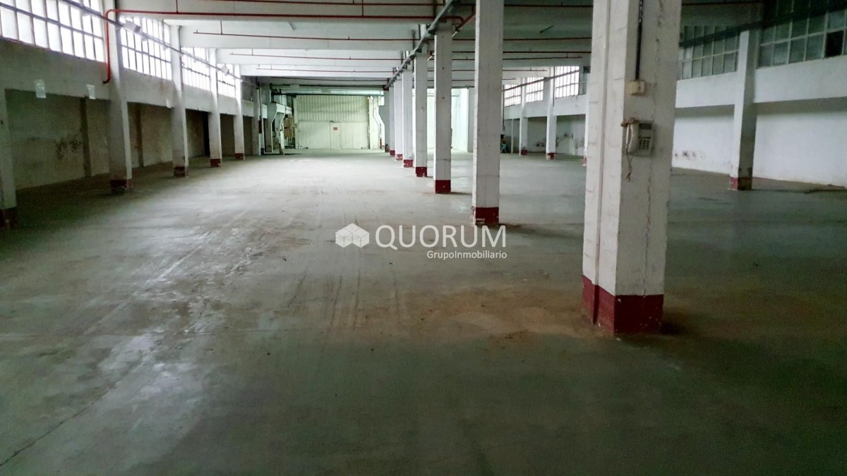 Nave industrial en Sondika