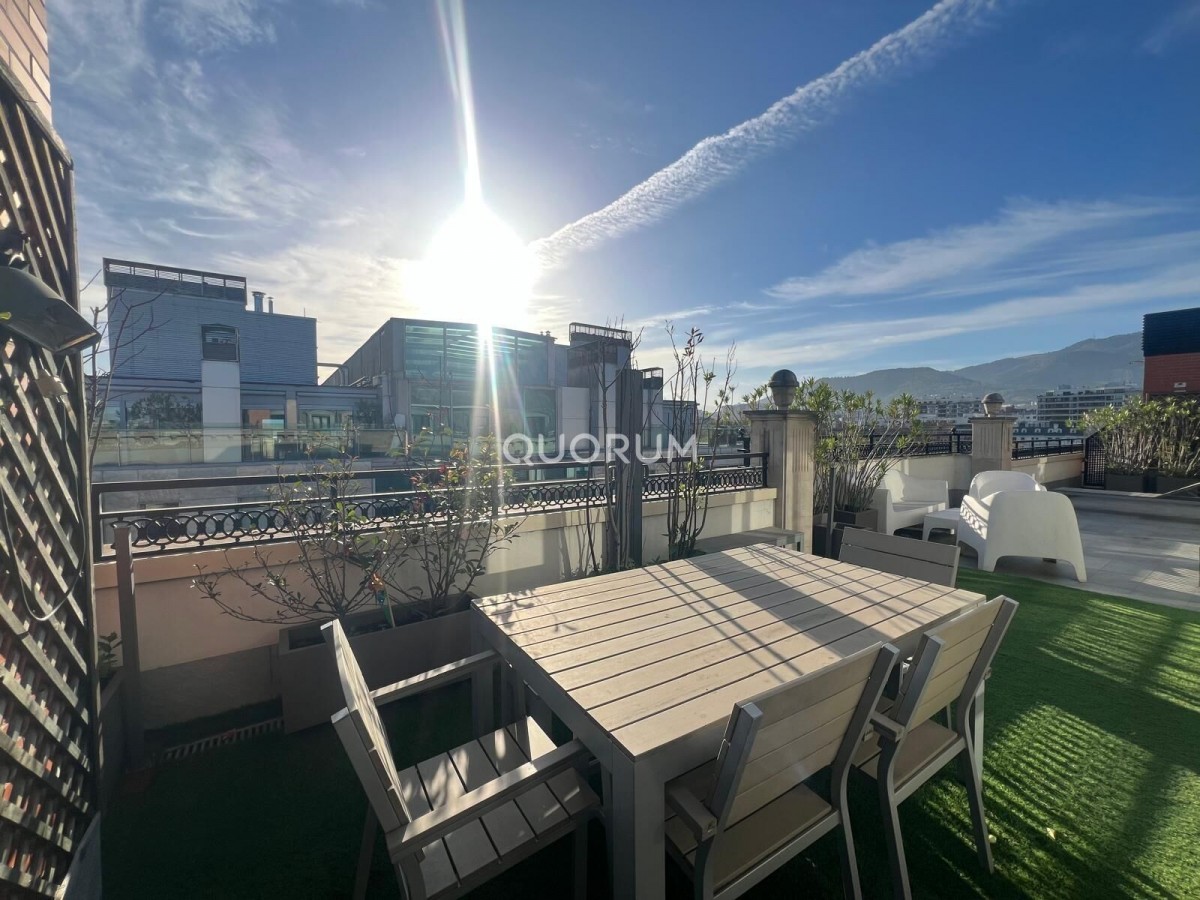 Exclusiva Vivienda Con Gran Terraza En Plaza Euskadi