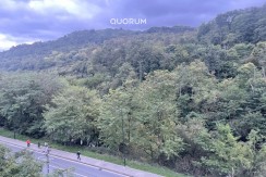 Local En Primera Planta Con Montacargas Para Vehículos