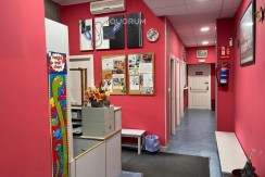 Amplio Local Comercial En Txurdinaga