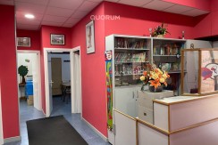 Amplio Local Comercial En Txurdinaga