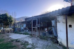 Se venda casa con terreno en el barrio de Triano (Abanto-Zierbena)