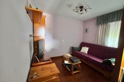 Se venda casa con terreno en el barrio de Triano (Abanto-Zierbena)