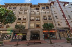 Ubicación de lujo: la comodidad de vivir en pleno centro. Elegante y espaciosa vivienda, con garaje directo, 3 hab. y 2 baños.