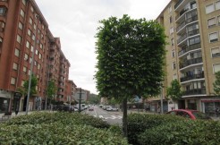Amplio Local Comercial En Zona Céntrica