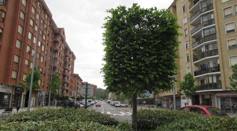 Amplio Local Comercial En Zona Céntrica
