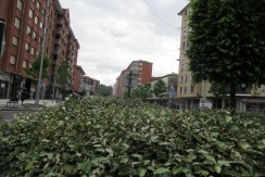 Amplio Local Comercial En Zona Céntrica