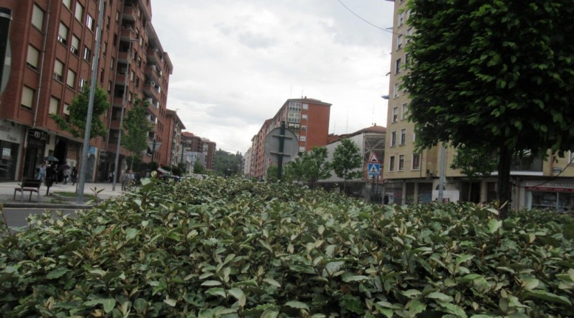 Amplio Local Comercial En Zona Céntrica