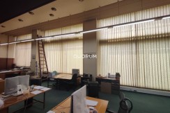 Gran Local comercial frente al Parque Etxebarria