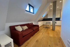Apartamento en Abando de 1 hab para Temporada