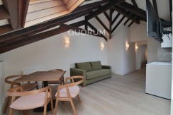 Atico 1 Habitación