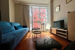 Elegante apartamento de 1 habitación en Isozaki