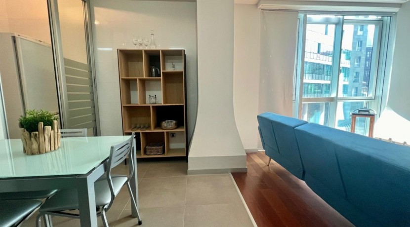 Elegante apartamento de 1 habitación en Isozaki