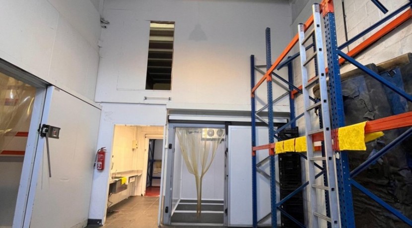 Nave Industrial Equipado Con Camáras de Frio En Zona Arteagoiti
