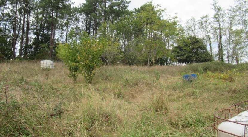 Caserío A Reformar Con Terreno En Labea