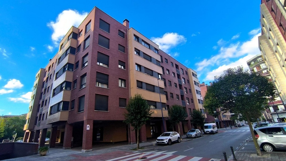 SE VENDE PISO MUY LUMINOSO TOTALMENTE REFORMADO PARA ENTRAR A VIVIR EN ETXEBARRI