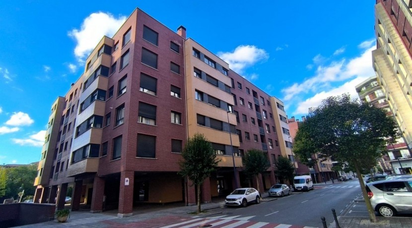 SE VENDE PISO MUY LUMINOSO TOTALMENTE REFORMADO PARA ENTRAR A VIVIR EN ETXEBARRI