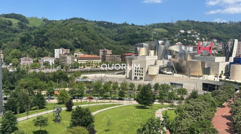 Vivienda de Lujo en Plaza Euskadi Para Contratos Temporada